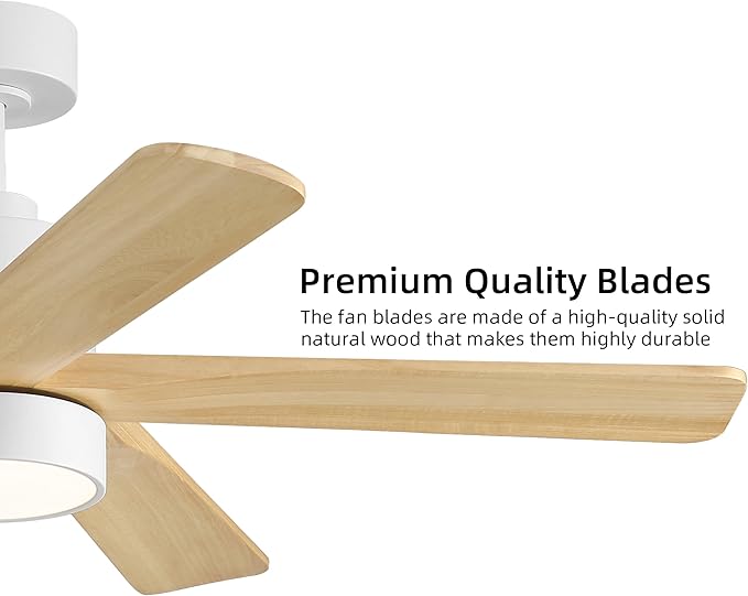 WINGBO 48 Inch DC Ceiling Fan with Lights and Remote Control, 5 Carved Solid Wood Blades, 6-Speed Noiseless Reversible DC Motor, Indoor Ceiling Fan in Gloss White Finish with Oak Blades