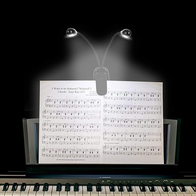 10 Pack Music Stand Lights - Image 2