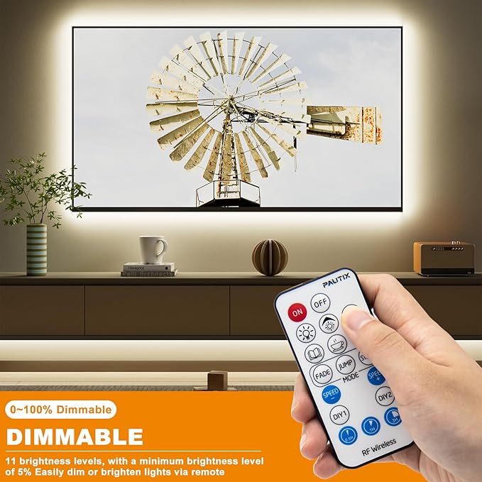 PAUTIX 2-Pack RF Remote LED Controller Dimmer,18-Key Wireless Remote and in-line Controller DC 12V-24V Switch Memory Function, for Single Color LED Strip Light,COB LED Strips,2835 3528 SMD LED Lights