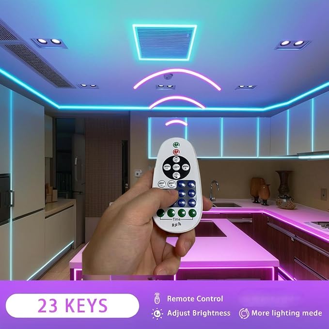 RF Single-Color LED Dimmer Light Controller, Replacement Remote for Neon Signs, Knob LED Strip Dimmer - 23-Key Dimmer with Timer, 12V Compatible Wireless Remote Controller, Custom Neon Remote Control
