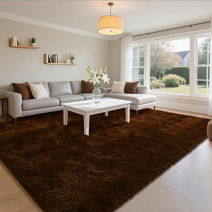 HOMORE Living Room Rug 5 x 7 Area Rug, Large Fluffy Rugs Super Soft Carpet by Homore