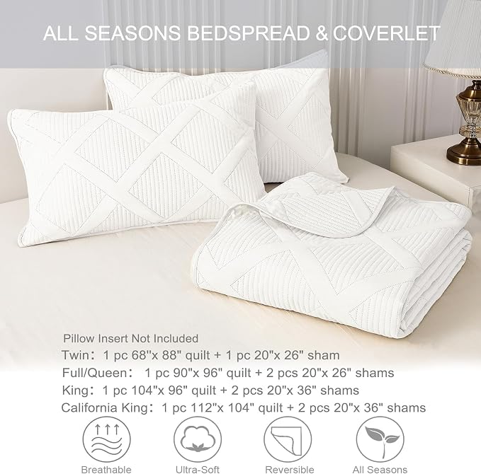 Exclusivo Mezcla Quilts Queen Size, Modern Striped Pattern, Lightweight Bedding - Image 6