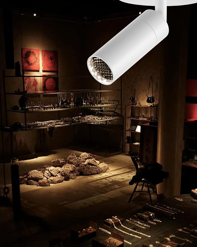 Gpaillumic Zoomable LED Ceiling Spotlight Fixture, Flush Mount Adjustable Spotlight, Indoor Bright Accent Monopoint Fixture for Living Room Bedroom Loft Cafe Bar