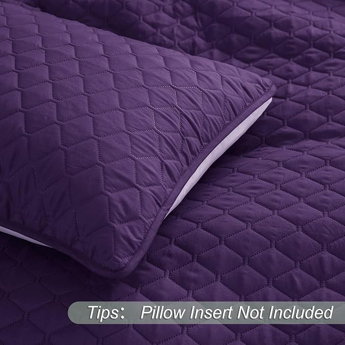 Exclusivo Mezcla Reversible Twin Quilt Bedding Set, Deep Purple | Lightweight - Image 5
