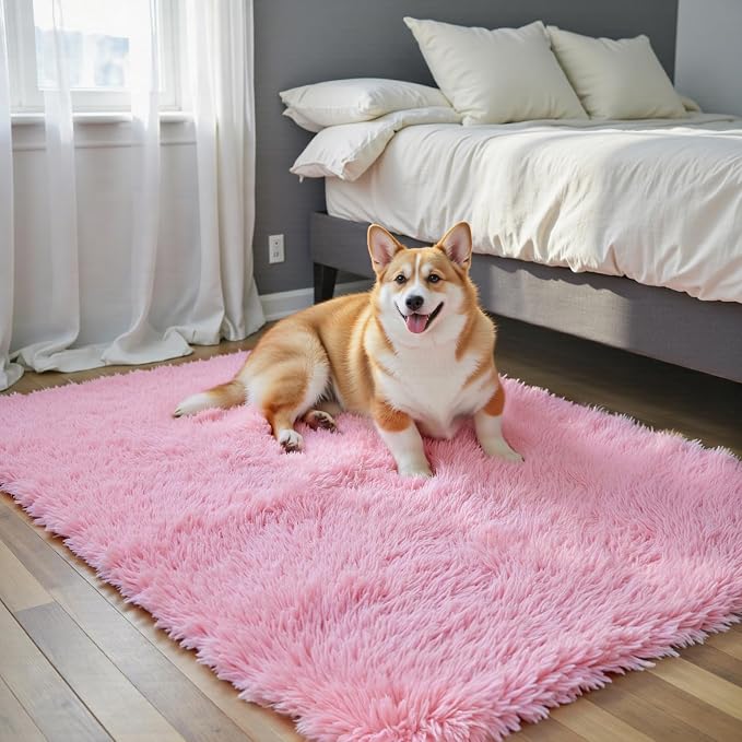 Small Shag Area Rug for Bedroom, 2x3 Pink Soft Plush Carpet | Non-Slip Floor Mat by Junhejiamei