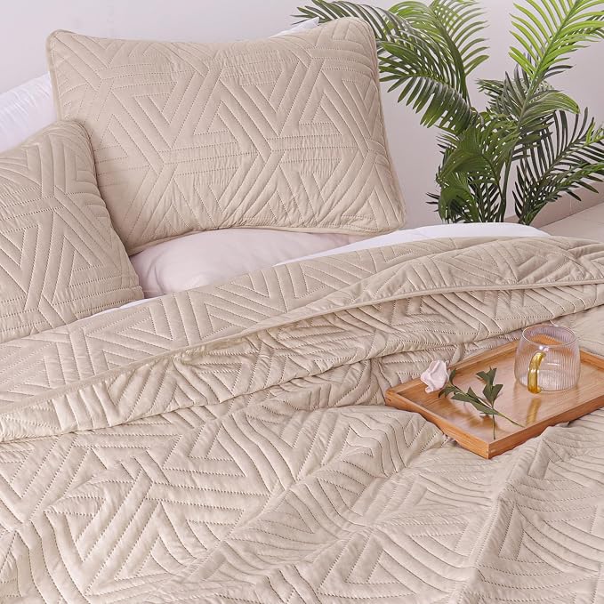 Whale Flotilla Soft Geometric Queen Quilt Set - Image 4