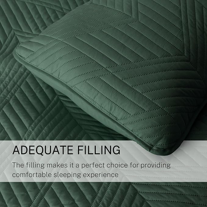Exclusivo Mezcla California King Quilt Bedding Set, Soft Microfiber, Modern - Image 6