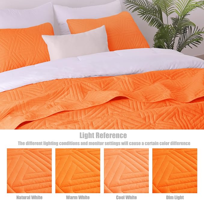 Whale Flotilla Soft Geometric Queen Quilt Set - Image 6