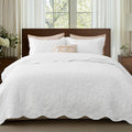 Bedsure Quilt Queen Size Bedspread, Thin Comforter, Stitch-Free Quilt-Tech by Unknown