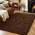HOMORE Luxury Fluffy Area Rug Modern Shag Rugs by Homore