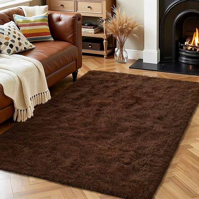 HOMORE Luxury Fluffy Area Rug Modern Shag Rugs by Homore