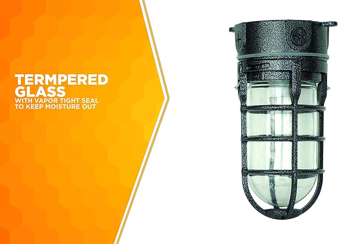 Woods L1706BLK Vandal Resistant 150W Incandescent Security Light, Ceiling Mount, Hammered Black