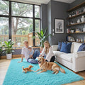 Fluffy Rug Shag Area Rug, Teal Blue 3x5 Area Rugs by Junhejiamei
