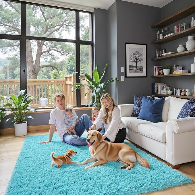 Fluffy Rug Shag Area Rug, Teal Blue 3x5 Area Rugs by Junhejiamei