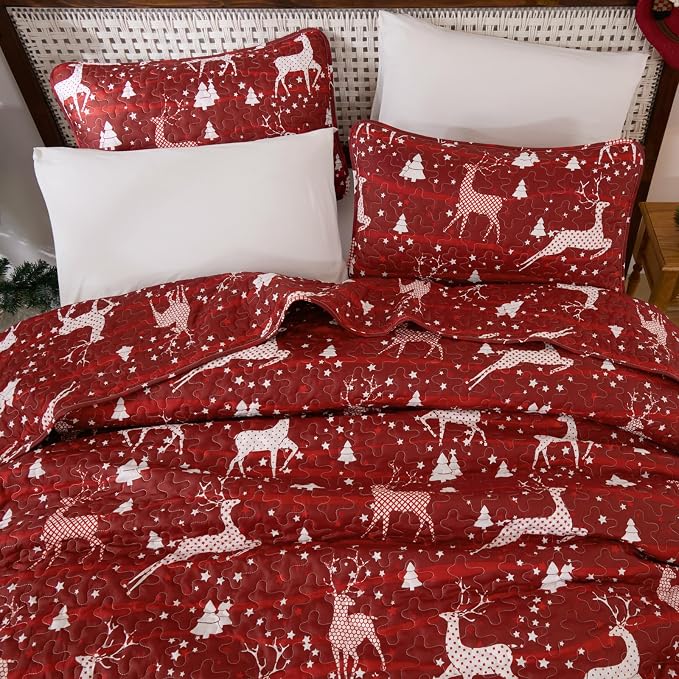 Dinjoy Christmas Quilt King Size - Image 3