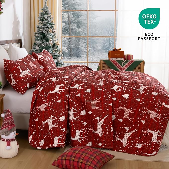 Dinjoy Christmas Quilt King Size - Image 2