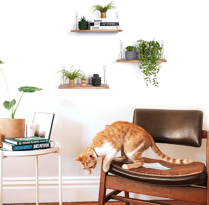 Floating Wall Shelves, Rustic Wood Wall Mounted Shelf Set of 3 | No Drill - Image 2