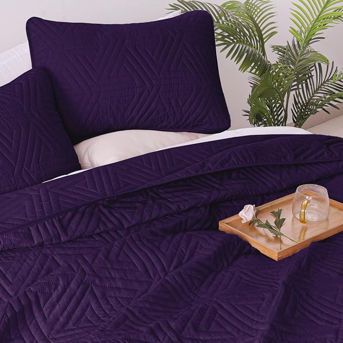 Whale Flotilla Soft Geometric Queen Quilt Set - Image 4