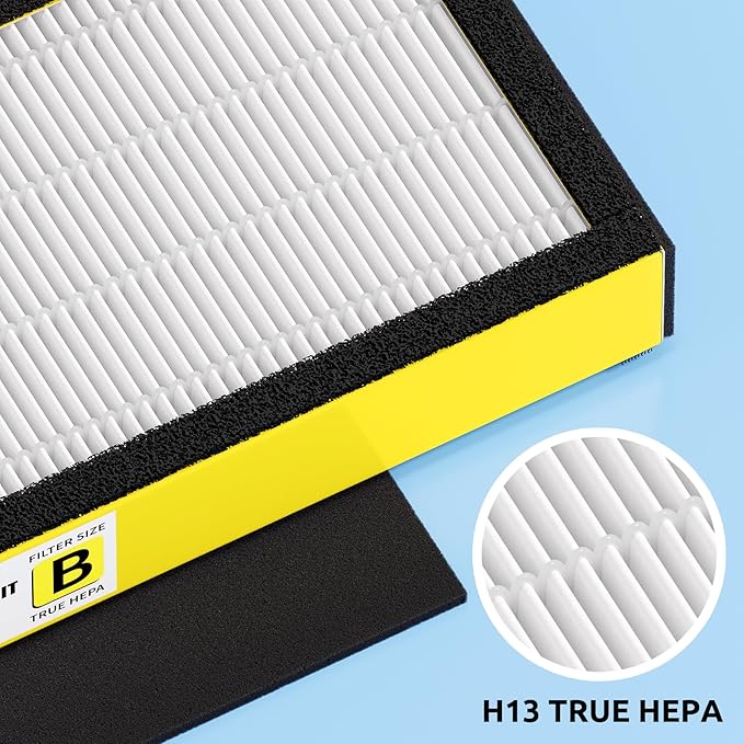Hfunmo Filter B, FLT4825 Filter Replacement for Guardian AC4825 AC4825E AC4300 AC4800 AC4850 Air Purifier – 2 True HEPA Filters & 6 Pre-Filters (2-Pack)