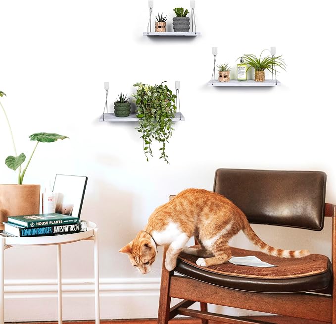 Floating Wall Shelves, Rustic Wood Wall Mounted Shelf Set of 3 | No Drill - Image 2