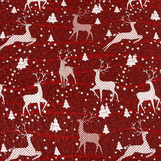 Dinjoy Christmas Quilt King Size - Image 8