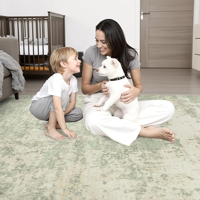 Round Area Rug Living Room: 5 ft Modern Washable Indoor Carpet | - Image 2
