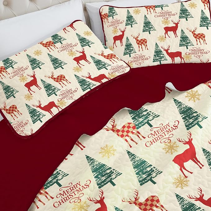 Dinjoy Quilt Set Queen Christmas - Image 5