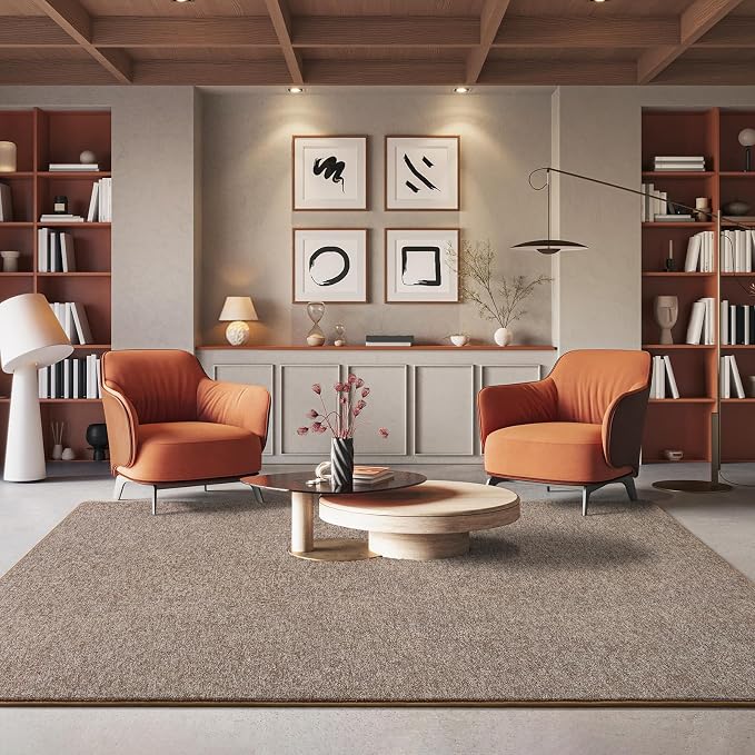 6x9 Area Rugs for Living Room Non Slip Dorm Bedroom Rug, Matte Brown | Modern - Image 7