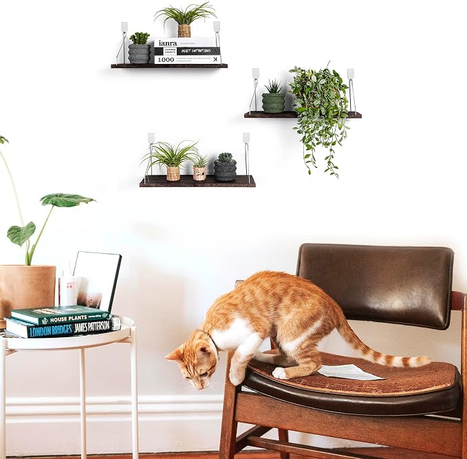 Floating Wall Shelves, Rustic Wood Wall Mounted Shelf Set of 3 | No Drill - Image 9