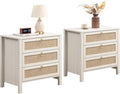 SICOTAS White Rattan Nightstand Set of 2 by SICOTAS