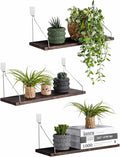 Floating Wall Shelves, Rustic Wood Wall Mounted Shelf Set of 3 | No Drill by MITIME