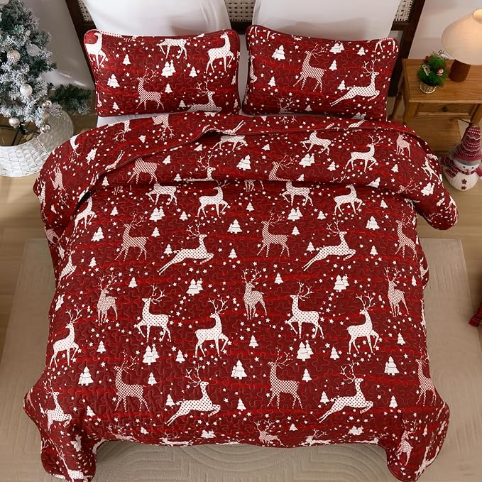 Dinjoy Christmas Quilt King Size - Image 5