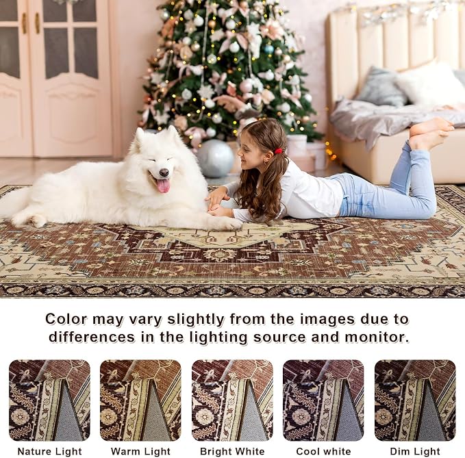Macgace Washable Vintage Small Area Rug - Image 7