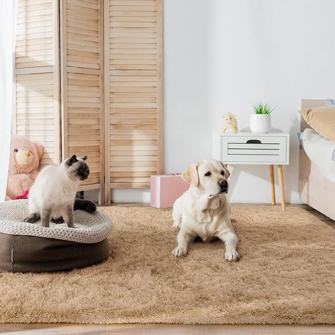 HOMORE 4x6 Rug for Bedroom, Light Tan Fluffy Area Rug Modern Shag Rugs for - Image 2