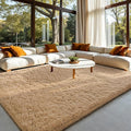 HOMORE Light Tan Rugs for Living Room, Shag Rug 5x7 Fluffy Area Rug for Bedroom by Homore