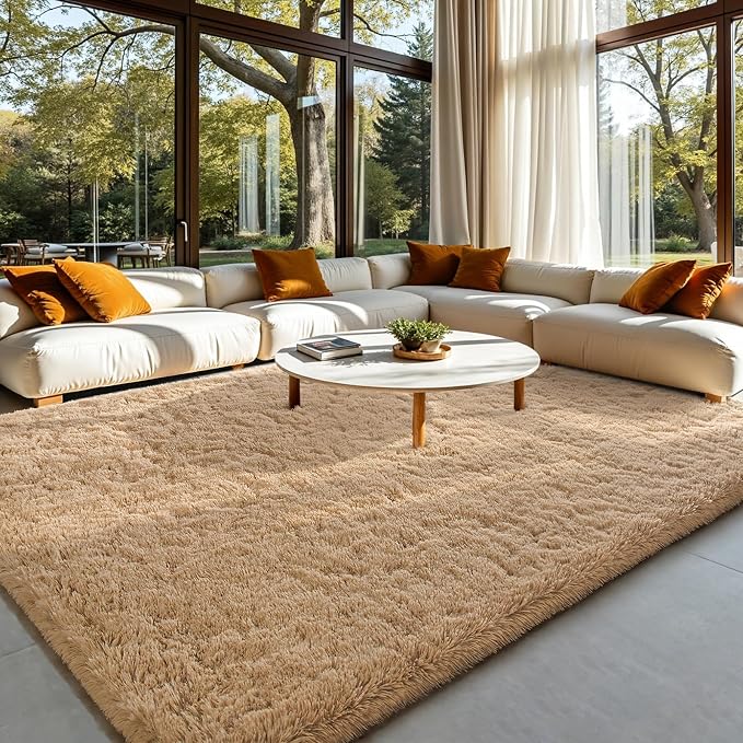 HOMORE 4x6 Rug for Bedroom, Light Tan Fluffy Area Rug Modern Shag Rugs for - Image 6