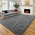 Plush Washable Area Rugs for Living Room 5x7 Grey, Soft Shaggy Rugs Carpets by PAGISOFE