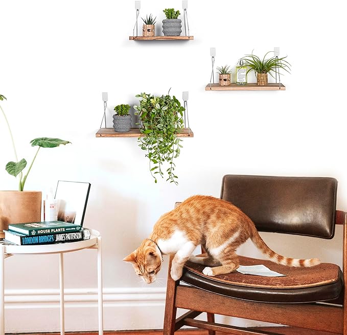 Floating Wall Shelves, Rustic Wood Wall Mounted Shelf Set of 3 | No Drill - Image 2