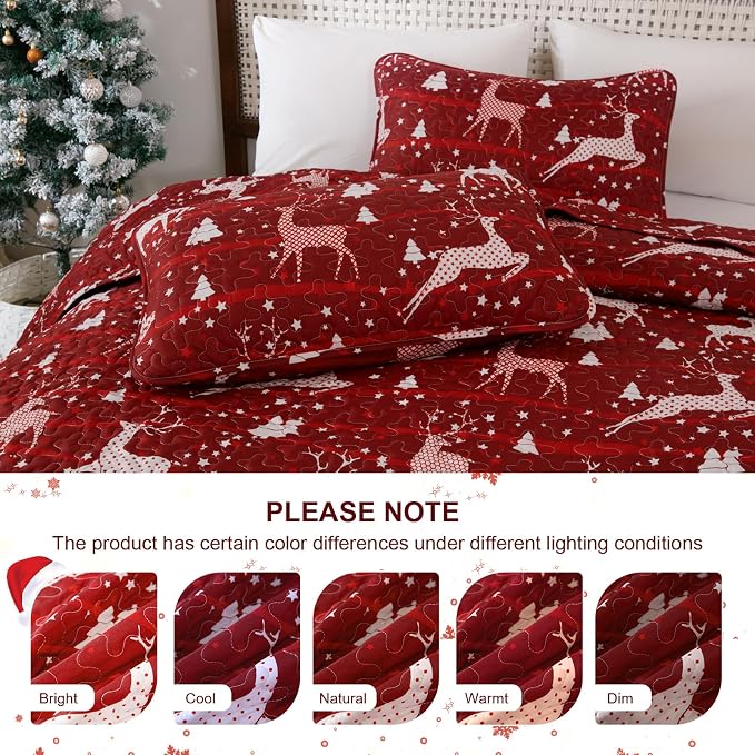 Dinjoy Christmas Quilt King Size - Image 6