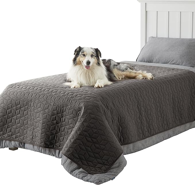 Bedsure 100% Waterproof Couch Cover for Dogs Washable - Non Slip Waterproof Blanket Large for Bed Sofa, Lightweight Furniture Protector Durable for Pet Puppy with Non-Slip Bottom, Dark Grey, 52x82IN
