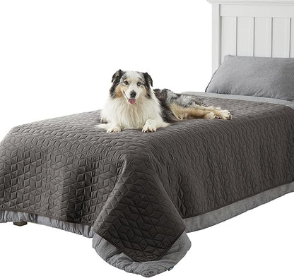 Bedsure 100% Waterproof Couch Cover for Dogs Washable - Non Slip Waterproof Blanket Large for Bed Sofa, Lightweight Furniture Protector Durable for Pet Puppy with Non-Slip Bottom, Dark Grey, 52x82IN