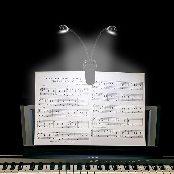 Music Stand Light, 1/2/4/10 Pack Clip on LED Book Lights, USB and AAA Battery - Image 2