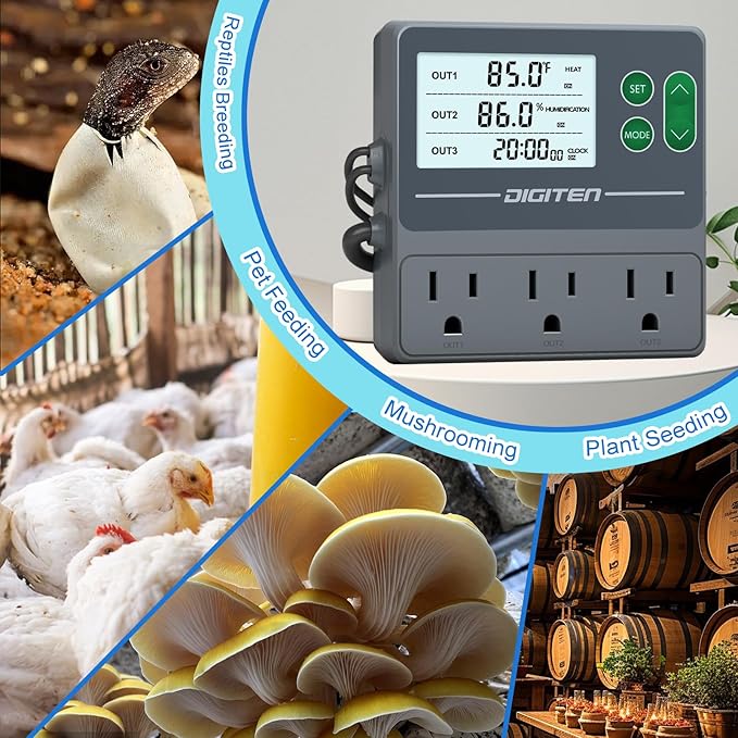 DIGITEN Temperature and Humidity Controller with Timer - 3 Outlet, 2 Separate Probes, Plug in Temperature Controller for Reptiles,Snake, Mushrooms, Tent, Triple Control for Temp,Humidity,Time
