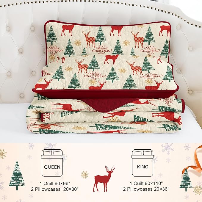 Dinjoy Quilt Set Queen Christmas - Image 4