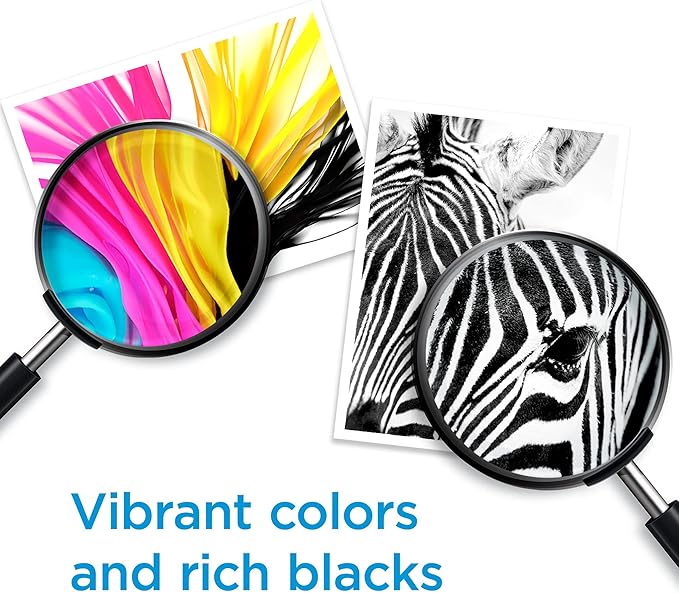 HP 910 Magenta Ink Cartridge | Works with OfficeJet 8010, 8020, Pro 8020, 8030 | Eligible for Instant Ink | 3YL59AN