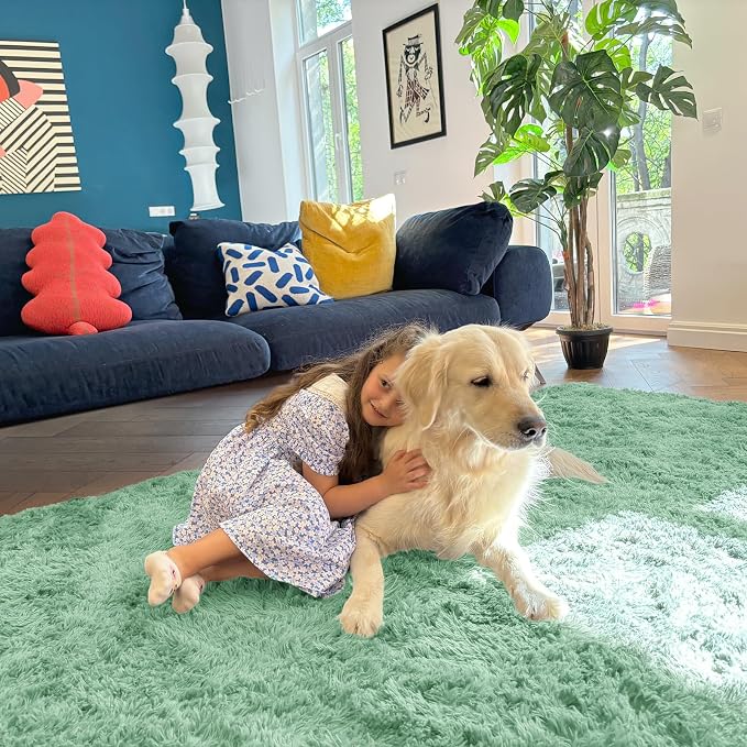 OLANLY 2x3 Machine Washable Small Bedside Rug, Soft Fluffy Shaggy Entryway - Image 5