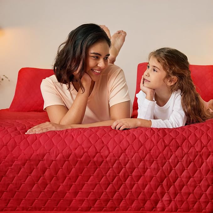 Exclusivo Mezcla Reversible Full Queen Quilt Bedding Set, Soft Microfiber - Image 3
