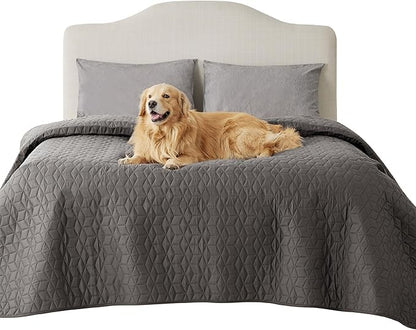 Bedsure 100% Waterproof Bed Cover for Dogs Washable - Non Slip Waterproof Dog Blanket for Bed, Lightweight Furniture Protector Durable for Pet Puppy with Non-Slip Bottom, Dark Grey, 82x102IN