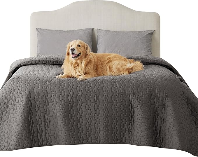 Bedsure 100% Waterproof Couch Cover for Dogs Washable - Non Slip Waterproof Dog Blanket for Couch Sofa, Lightweight Furniture Protector Durable for Pet Puppy with Non-Slip Bottom, Dark Grey, 40x50IN