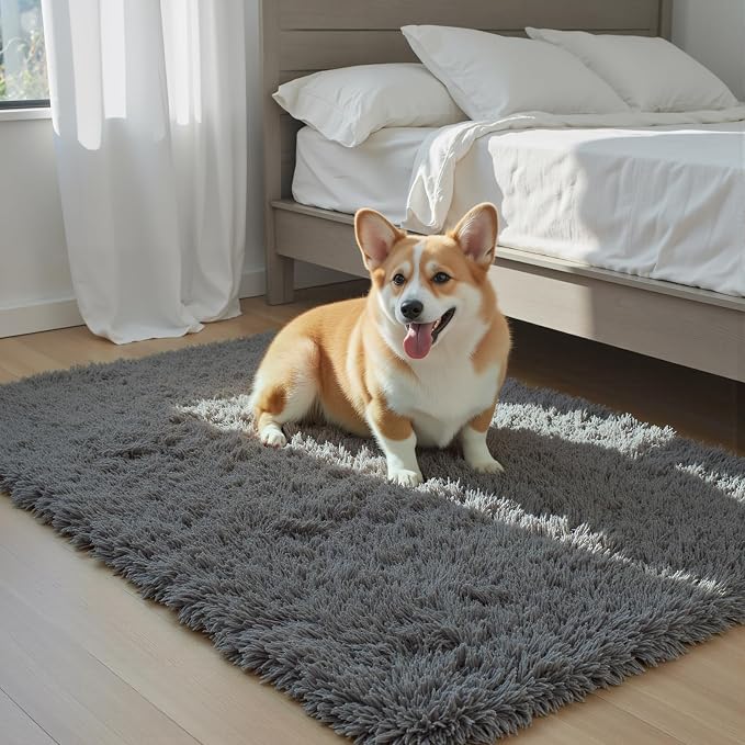 Small Shag Area Rug for Bedroom, 2x3 Dark Grey Soft Plush Carpet | Non-Slip by Junhejiamei
